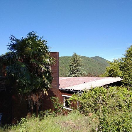 발레로그 Pura Vida B&B 외부 사진