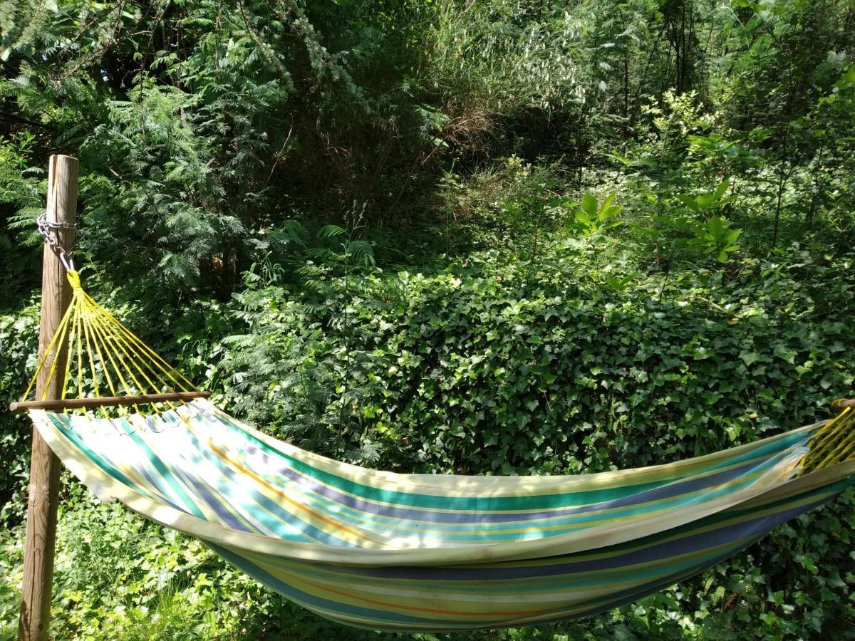 발레로그 Pura Vida B&B 외부 사진