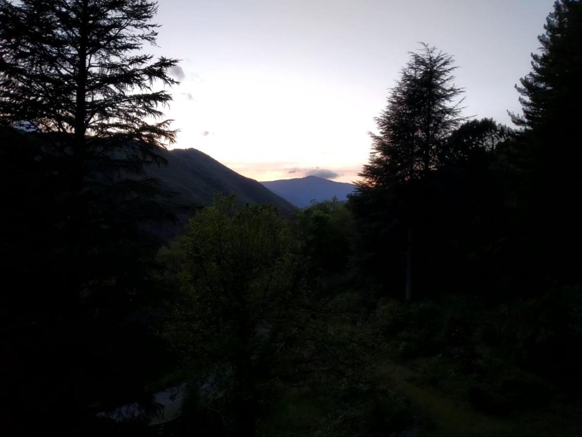 발레로그 Pura Vida B&B 외부 사진